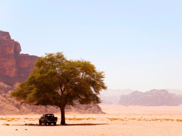 Choosing the Perfect Vehicle for Your Travel Needs in Jordan